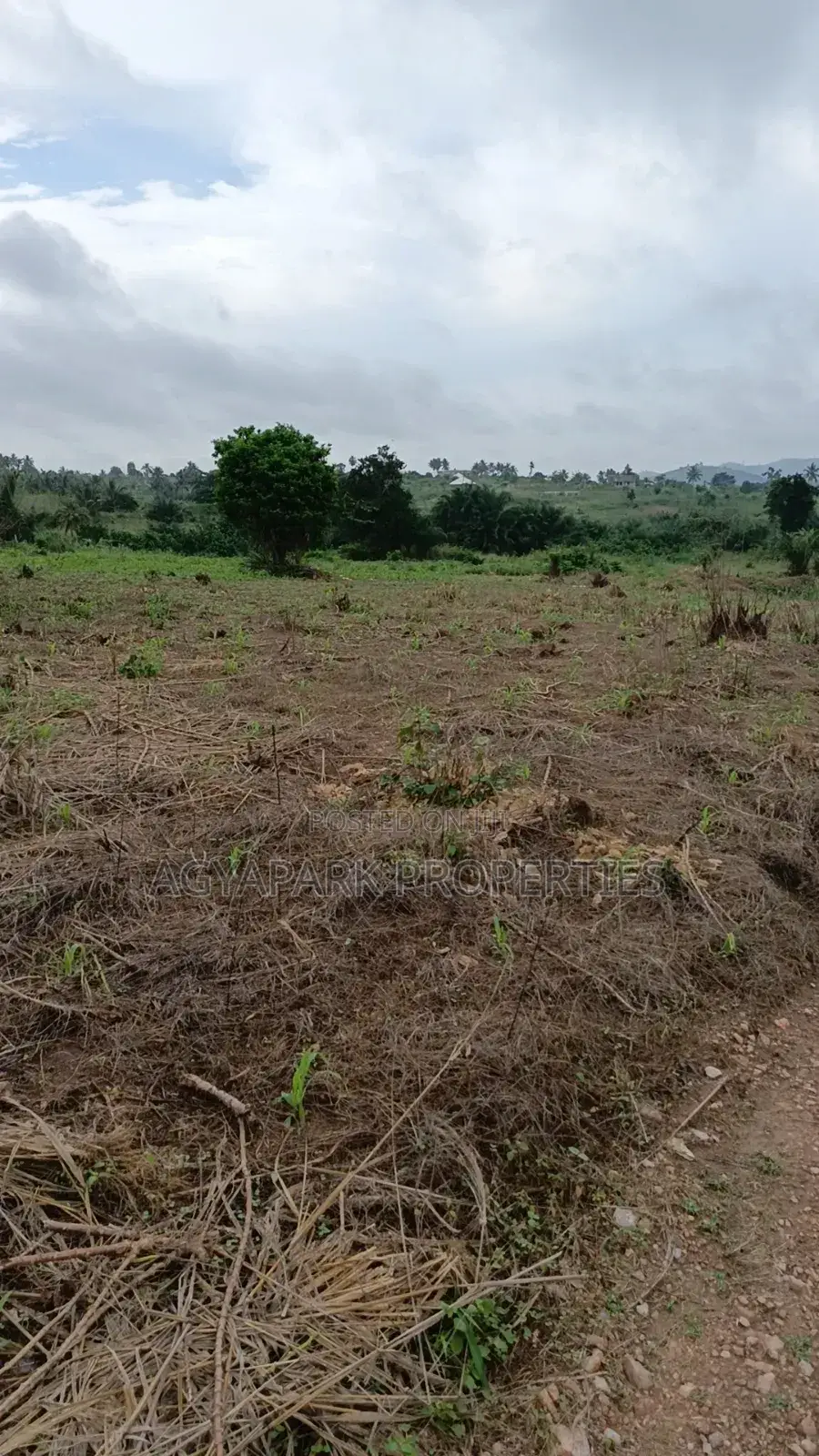 Archers of Land for Sale at Obom