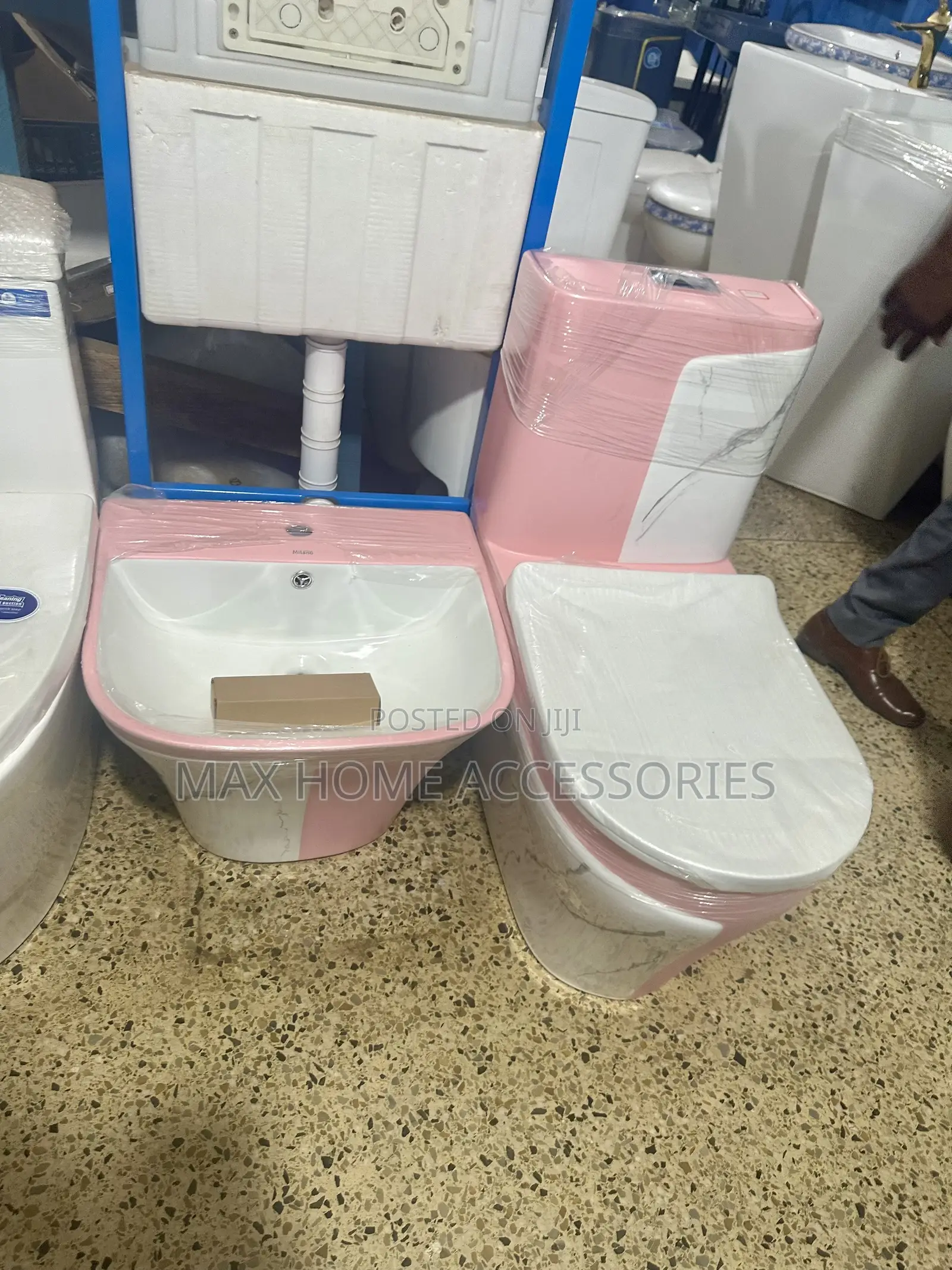 Pink Water Closet And Basin