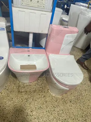 Pink Water Closet And Basin
