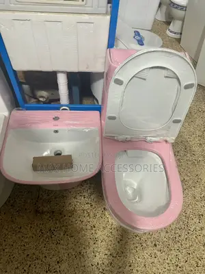 Pink Water Closet And Basin