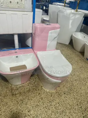 Pink Water Closet And Basin