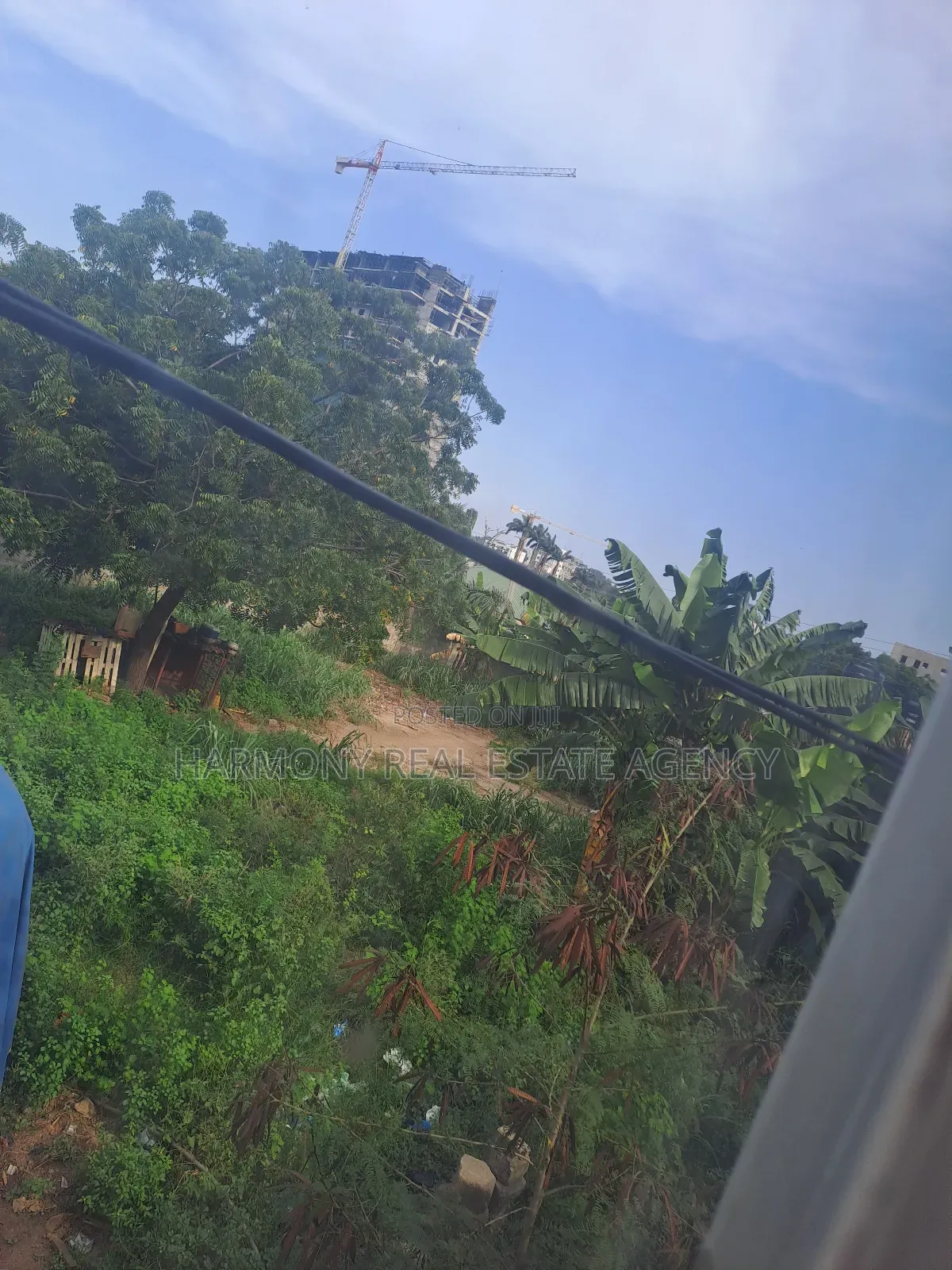 Land Forsale -Cantonment