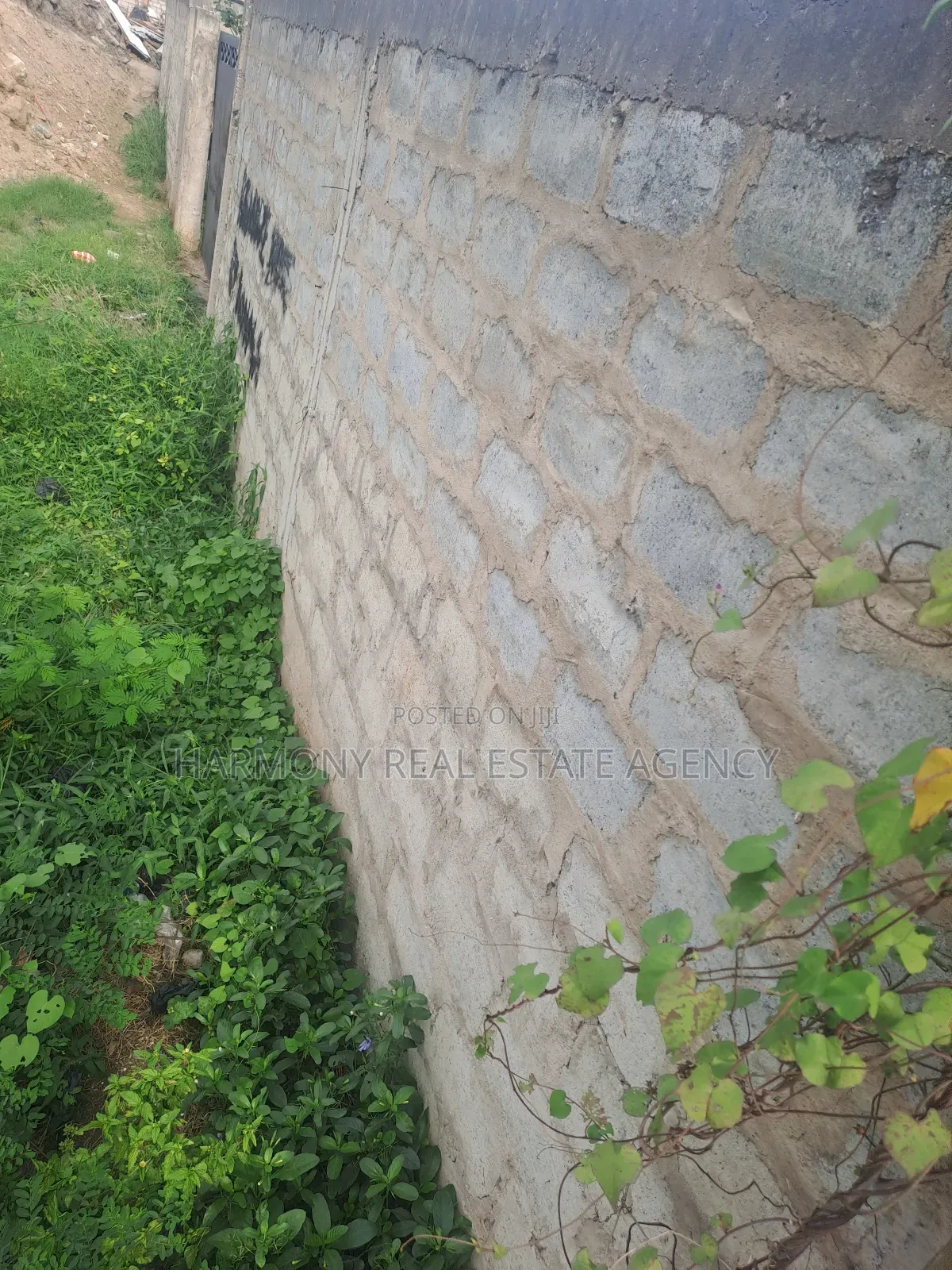 Land Forsale -Cantonment