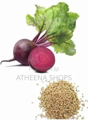 Beetroot Seeds for Sale