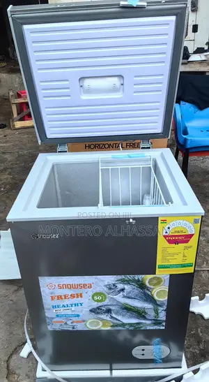 Snowsea Freezer 166literz