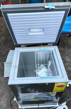 Snowsea Freezer 166literz