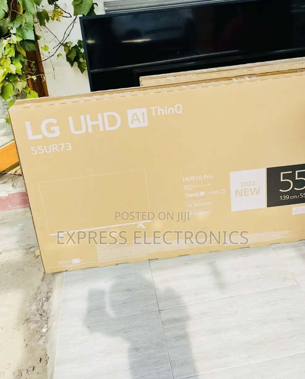 Immersive Excellence Uhd Smart 55”Ur73