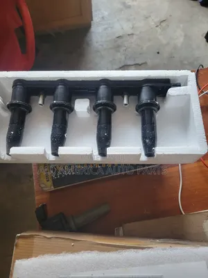 Ignitor Coil for Aveo/Chevy Cruze