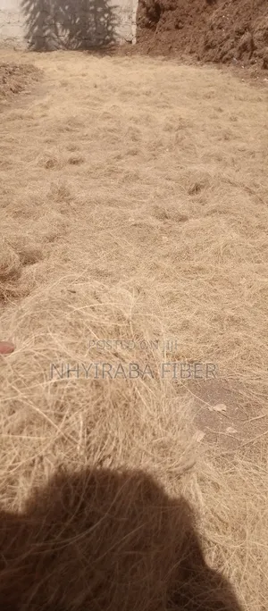 Treated Coconut Husk Fiber for Sale
