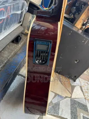 Fender Semi-Acoustic Guitar