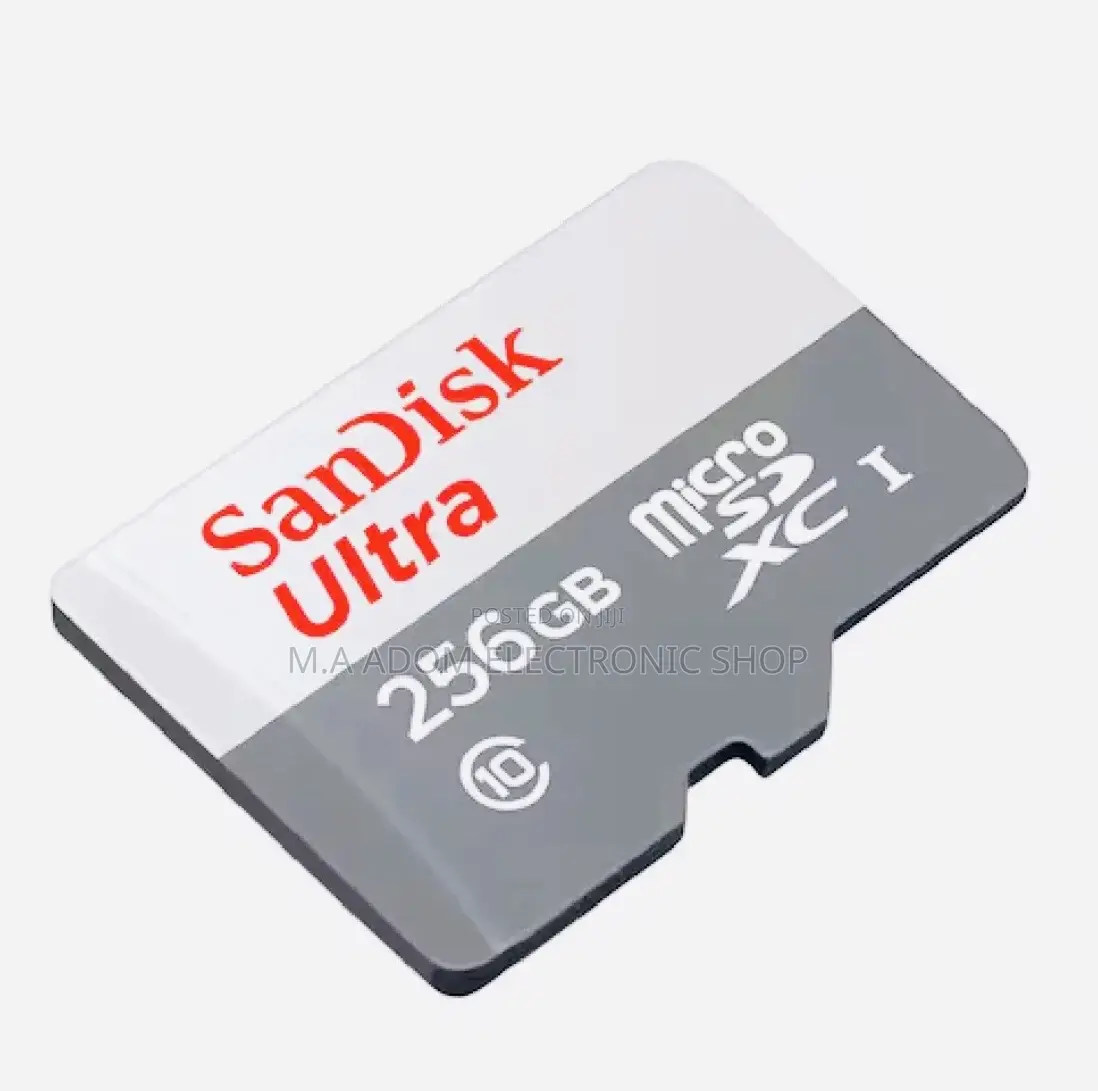 Sandisk Ultra Micro - 256GB