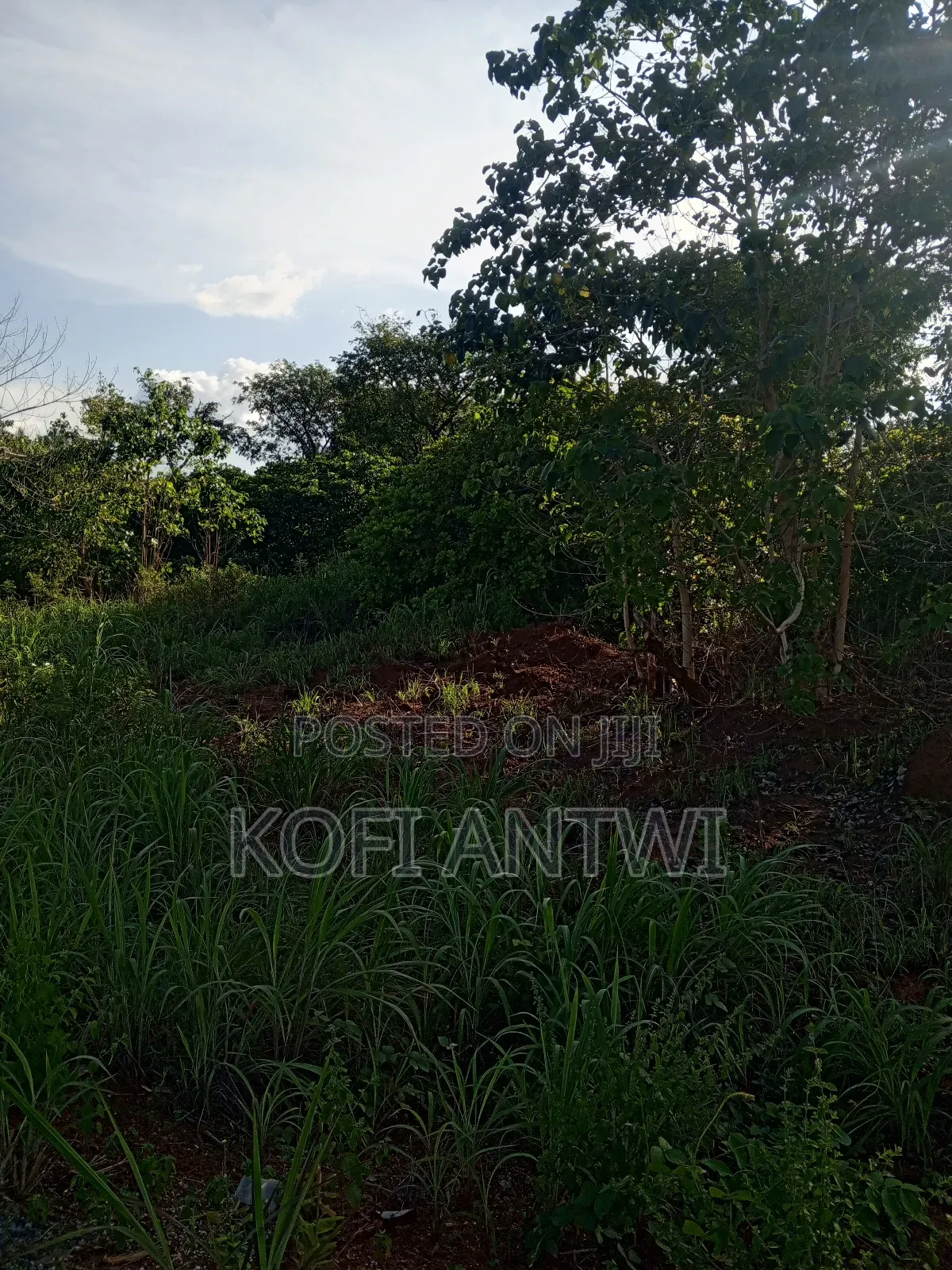 Farmland for Sale in Kintampo North Municipal Land & Plots for Sale