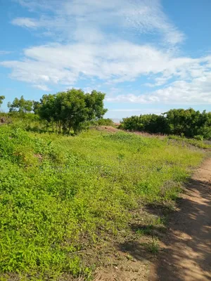 Alpha Properties Land for Sale at Winneba Nsuakyiri Beach Area