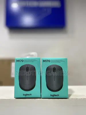 Logitech M170 Wireless Mouse
