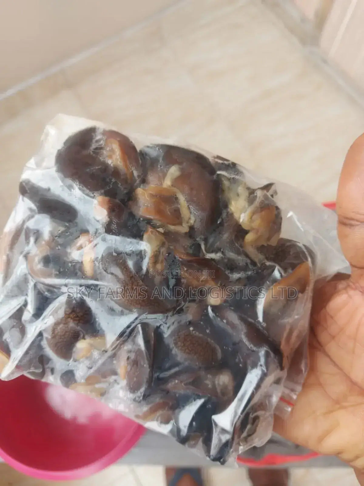 Frozen Snail Meat