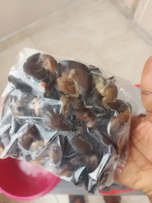 Frozen Snail Meat