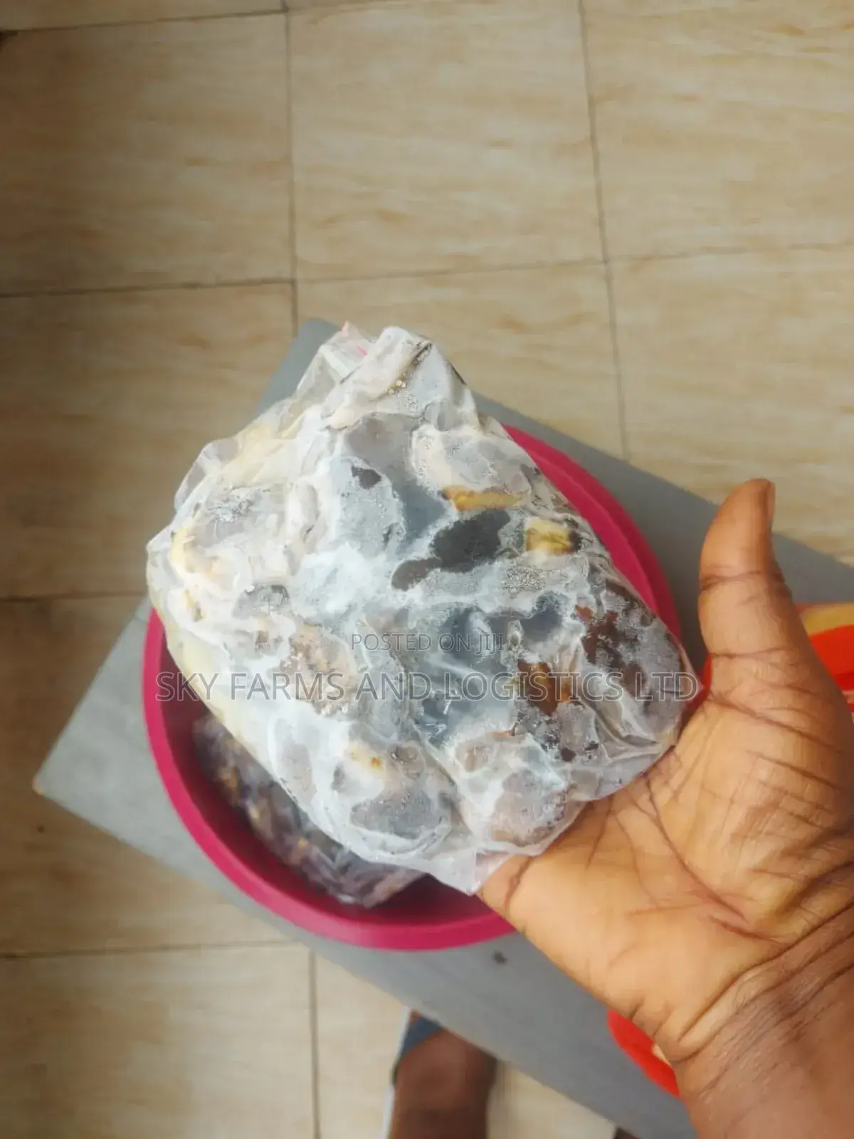 Frozen Snail Meat