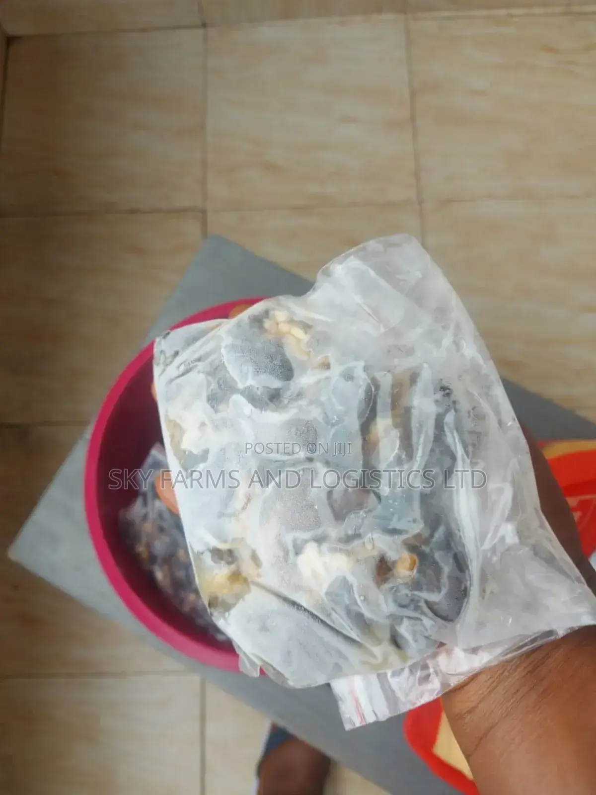 Frozen Snail Meat