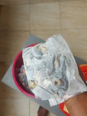 Frozen Snail Meat