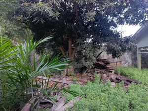 4bdrm House in Unique Key Agency, American House for sale
