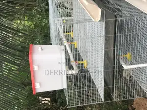 Day Old Cage