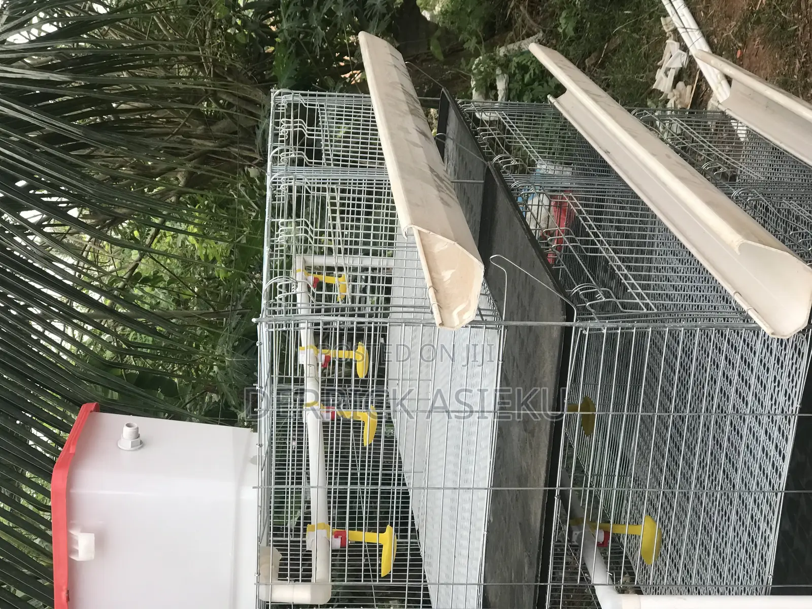 Day Old Cage