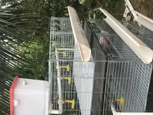 Day Old Cage