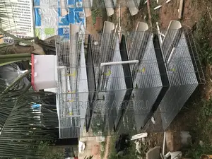 Day Old Cage