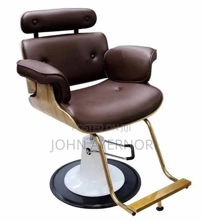 Salon Barber Chair