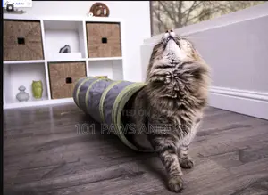 Cat Tunnel