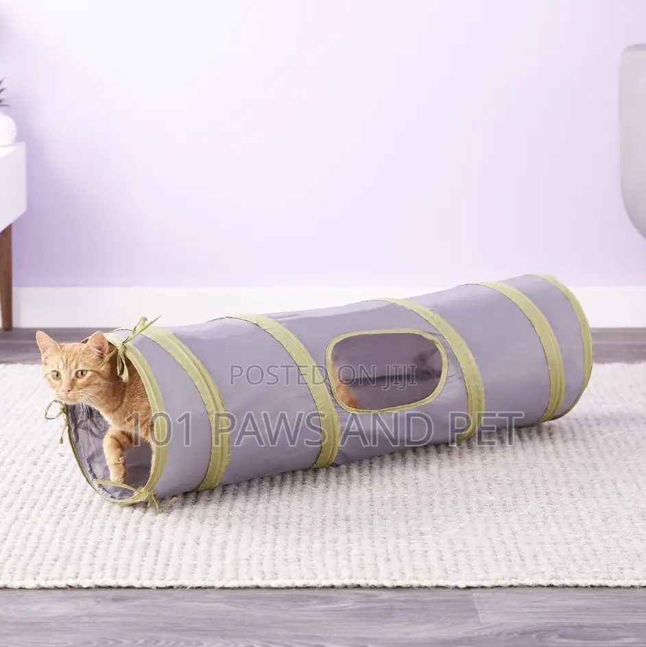Cat Tunnel