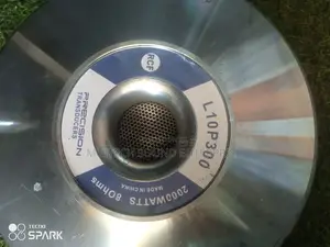 Naked Speaker '10' Inches Double Magnetic