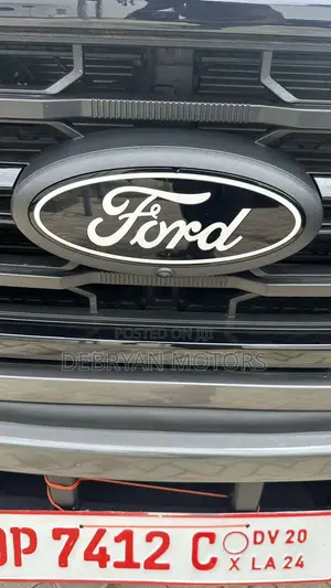 Ford F-150 XLT 2024 Gray