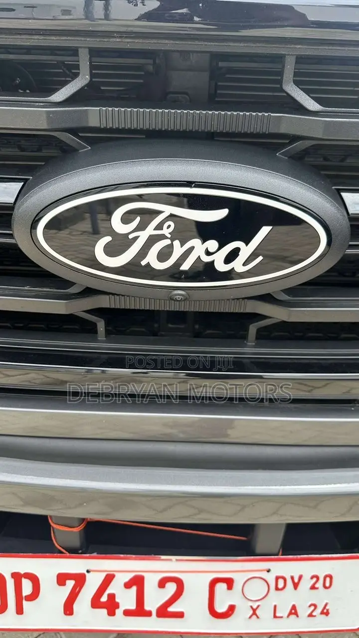 Ford F-150 XLT 2024 Gray