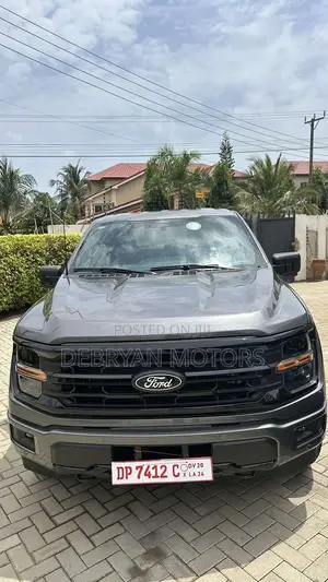 Ford F-150 XLT 2024 Gray