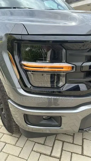 Ford F-150 XLT 2024 Gray