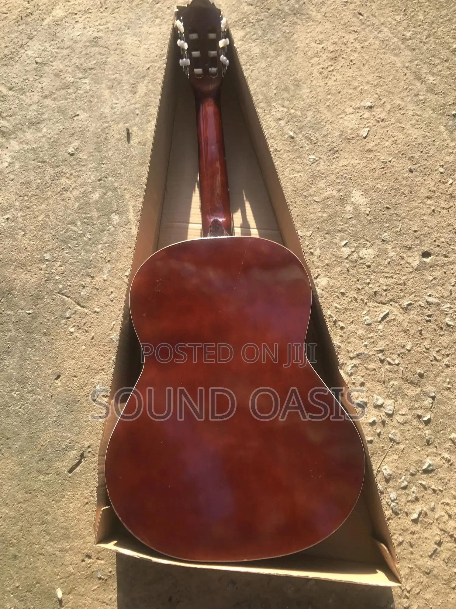 Professional Acoustic Guitar