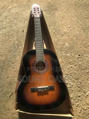 Professional Acoustic Guitar