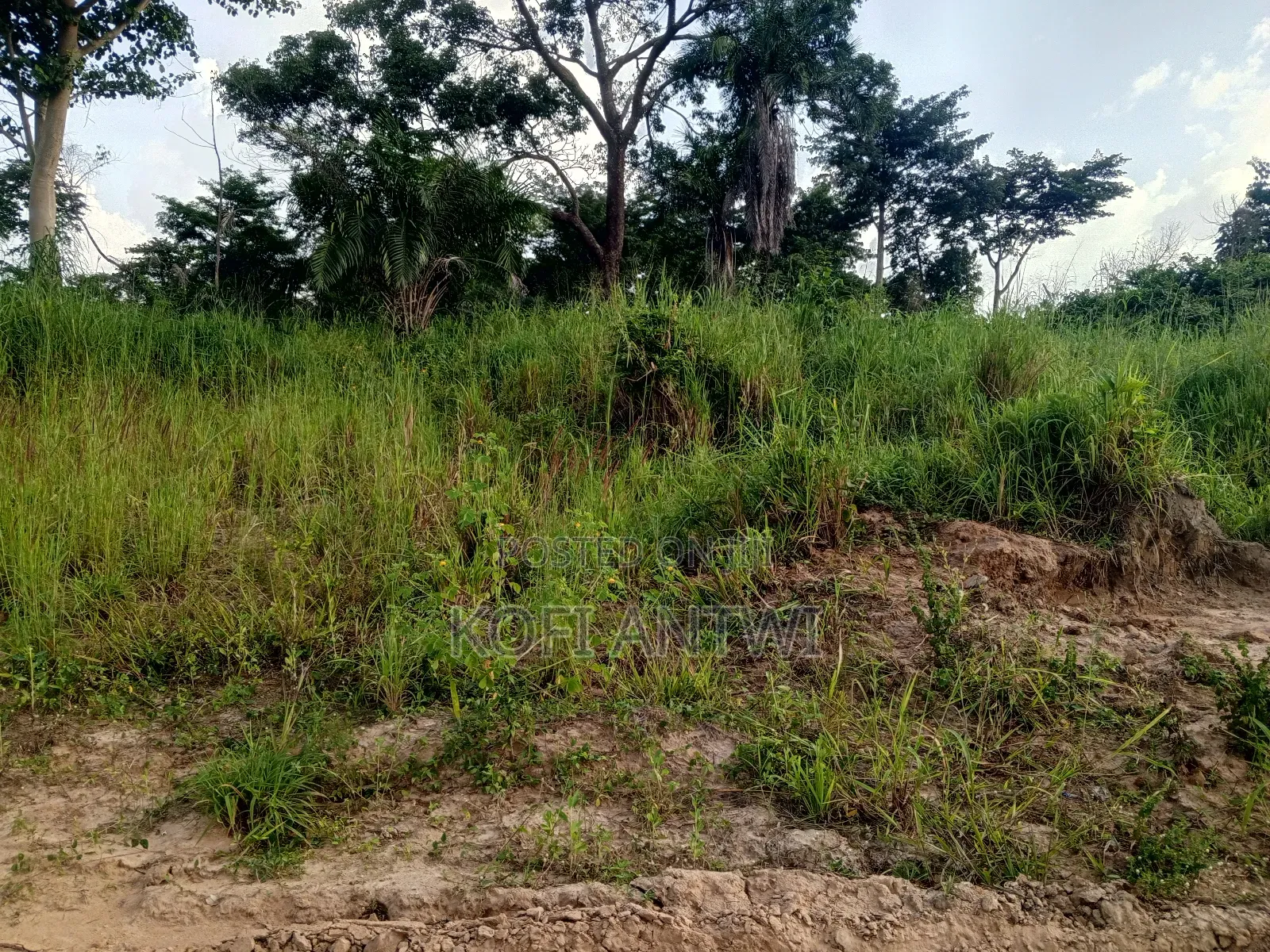 Farmland for Sale in Kintampo North Municipal Land & Plots for Sale