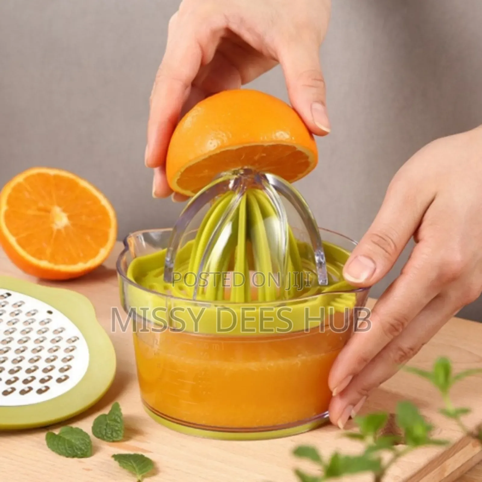 4in1 Plastic Juicer