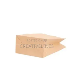 Plain Bag With Handles