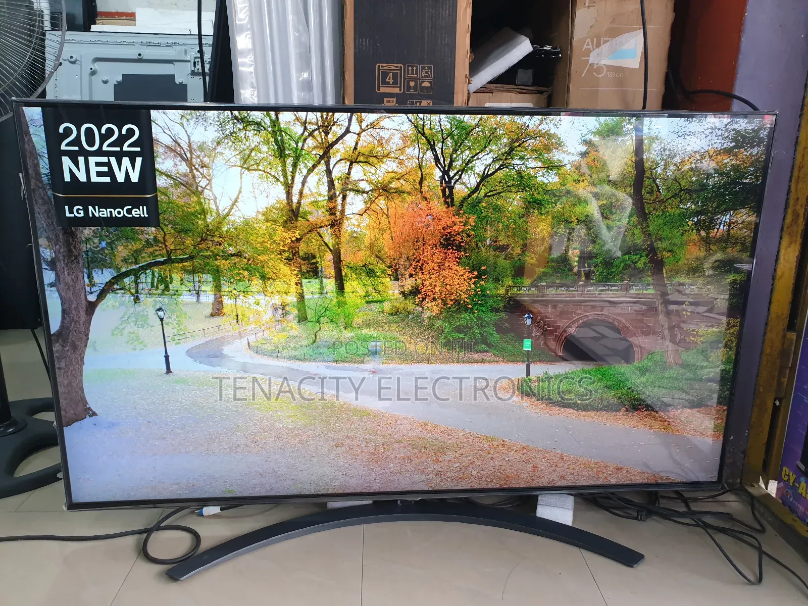 55"Edgeless LG Nanocell Uhd HDR Smart Satellite TV