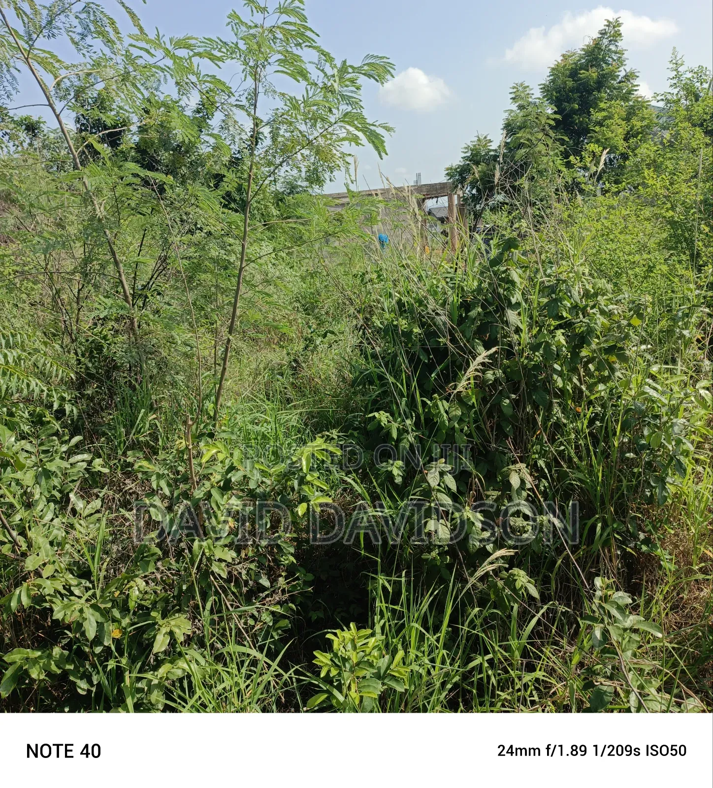 A Plot of Land at Afienya
