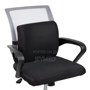 Lumber Support Seat Massager