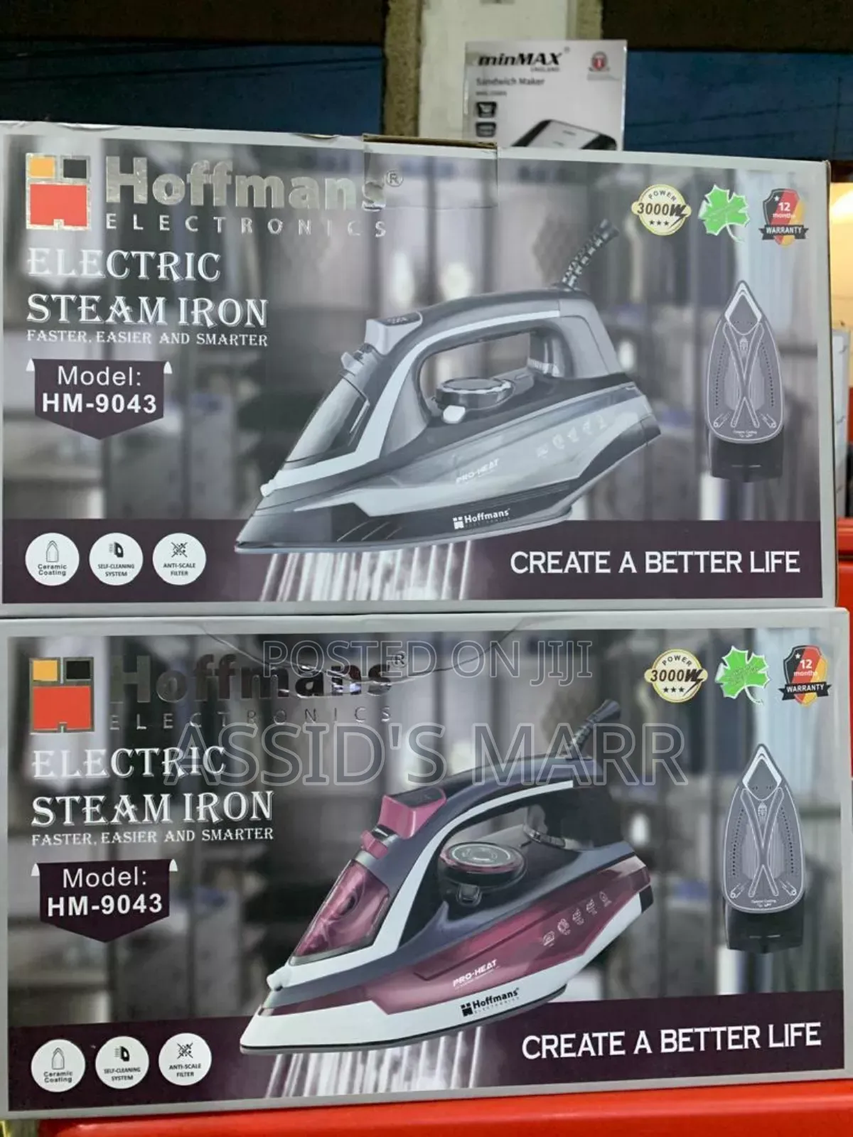 Electric Iron