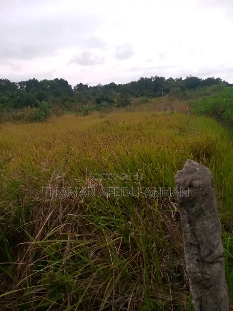 2 Plots at Ayensudo for Sale in Komenda/Edina/Eguafo/Abirem Municipal