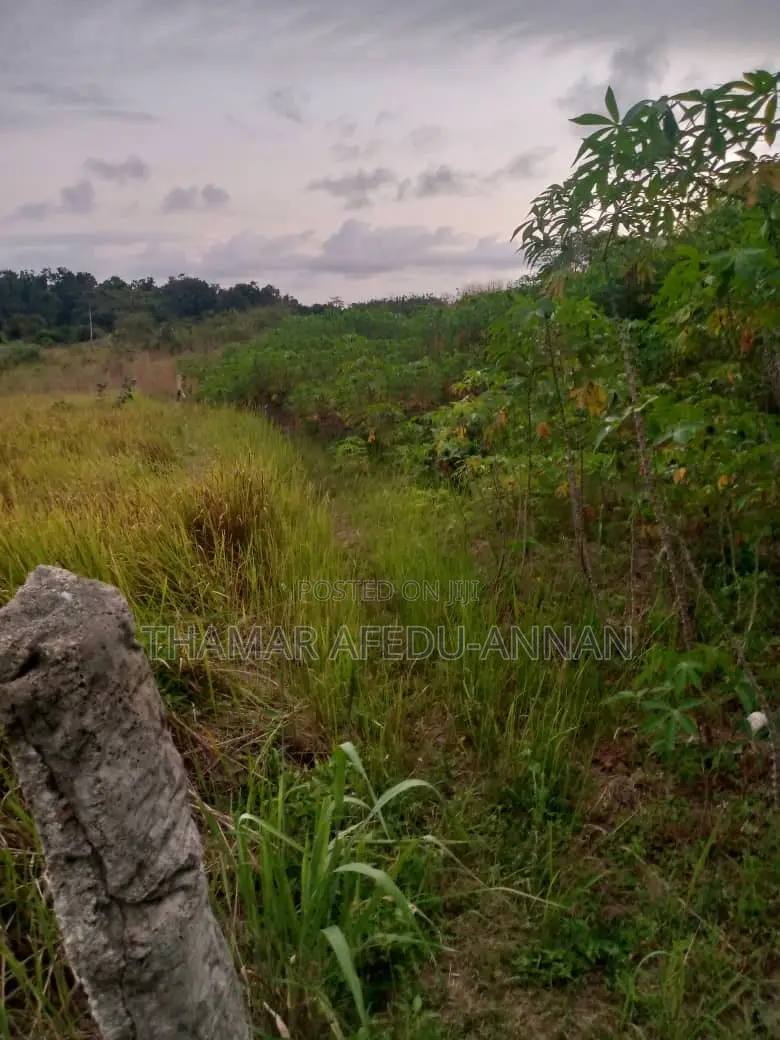 2 Plots at Ayensudo for Sale in Komenda/Edina/Eguafo/Abirem Municipal