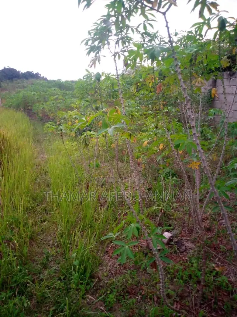 2 Plots at Ayensudo for Sale in Komenda/Edina/Eguafo/Abirem Municipal