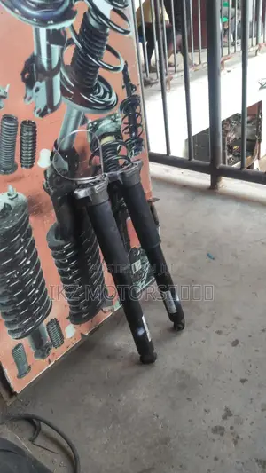 Mercedes Benz C300 (4matic) Back Shocks