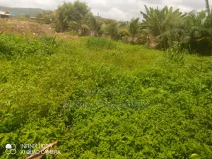 Two Plots of Land for Sale Located at Oyibi Saasabi Junction